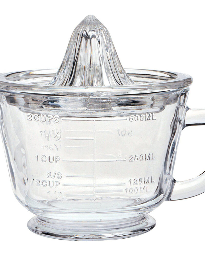 Glass Citrus Juicer